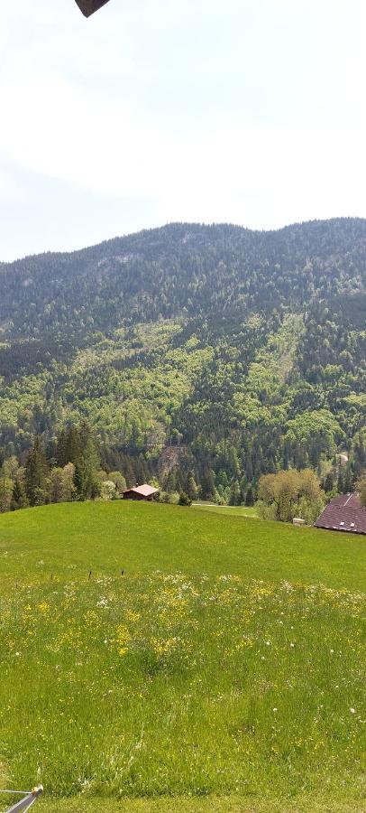 Bichlhof Riedenberg Villa Thiersee Exterior foto